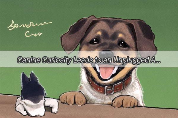 Canine Curiosity Leads to an Unplugged Adventure A Dogs Audacious Earbud Mishap